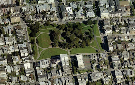 ASNA Fundraising Campaign Aims To Bring 100+ New Trees To Alamo Square