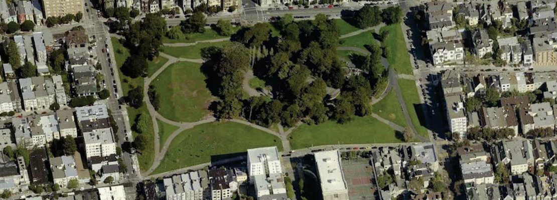 ASNA Fundraising Campaign Aims To Bring 100+ New Trees To Alamo Square