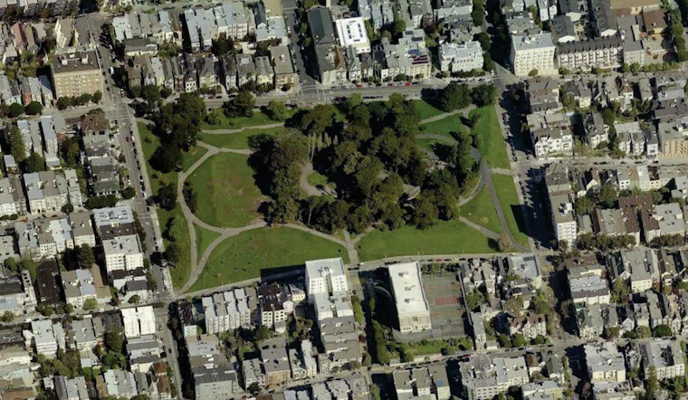 ASNA Fundraising Campaign Aims To Bring 100+ New Trees To Alamo Square
