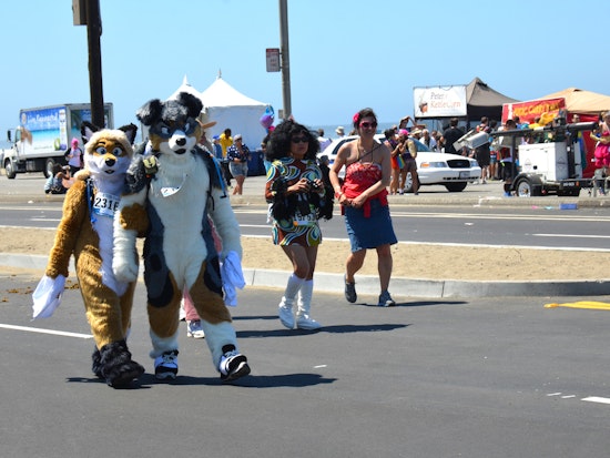 Outer Sunset Week: Bay To Breakers, Art Lovers' Saturday, Business Workshop, More