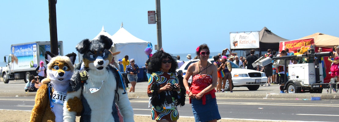 Outer Sunset Week: Bay To Breakers, Art Lovers' Saturday, Business Workshop, More