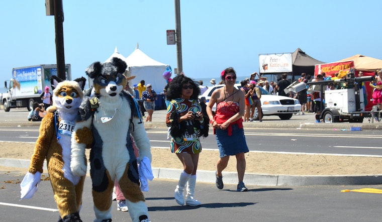 Outer Sunset Week: Bay To Breakers, Art Lovers' Saturday, Business Workshop, More