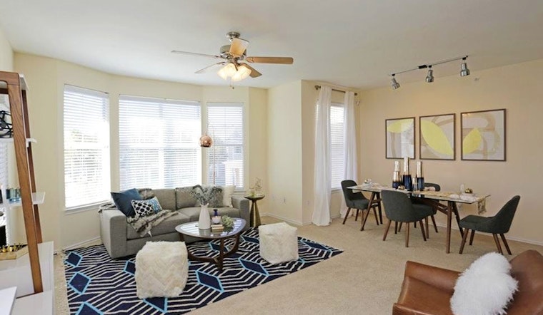 What's the cheapest rental available in Plano, right now?