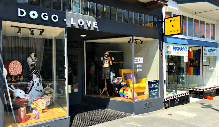 Dogo Love Vacating Castro Space, Seeking New Tenant For Sublease