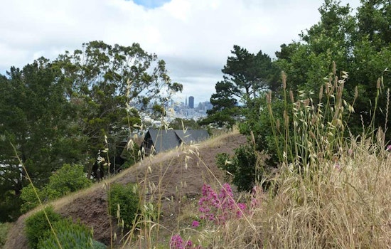 Great Explorations: Duncan & Castro Open Space