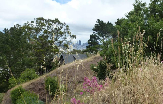 Great Explorations: Duncan & Castro Open Space