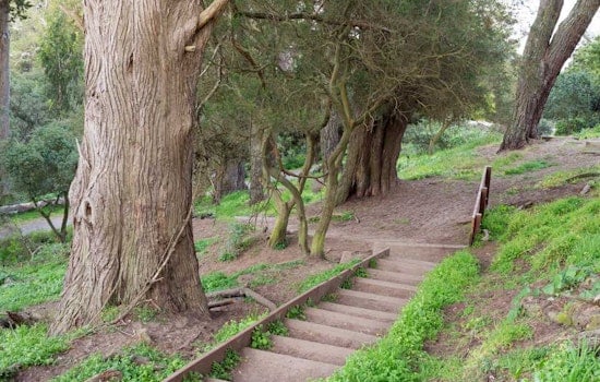 The Plan To Fix Up Buena Vista Park