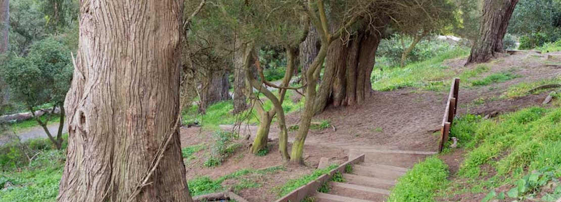 The Plan To Fix Up Buena Vista Park