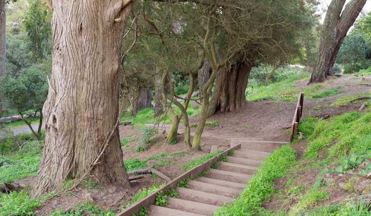The Plan To Fix Up Buena Vista Park