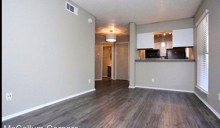 The cheapest apartment rentals in Far North, right now