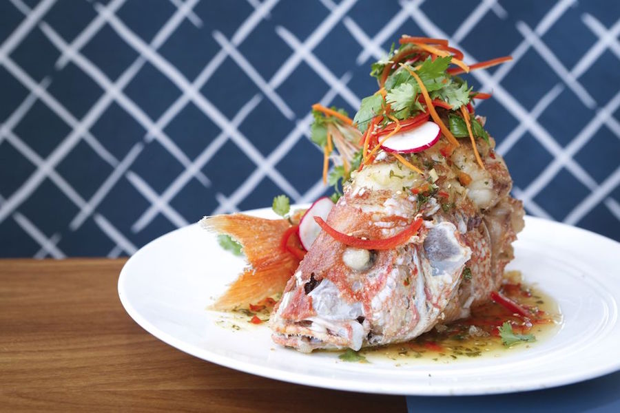Treat yourself at Denver's 6 favorite spots for highend seafood