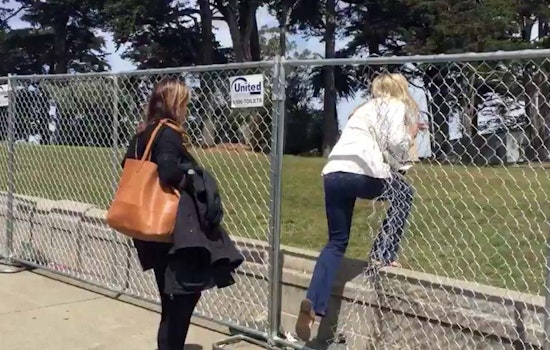 Video: Tourists Breach Alamo Square Fence In Pursuit Of Obligatory Painted Lady Photos