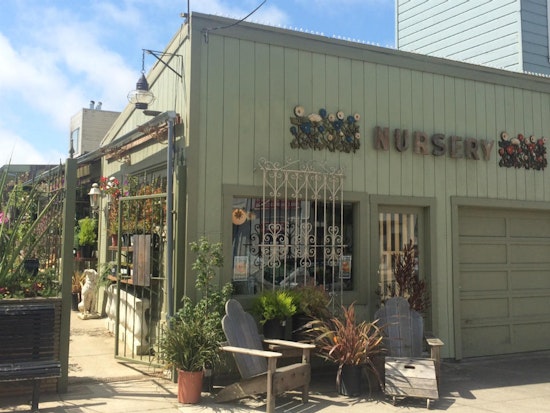 Meet Clement Nursery, A Richmond Institution For 75 Years