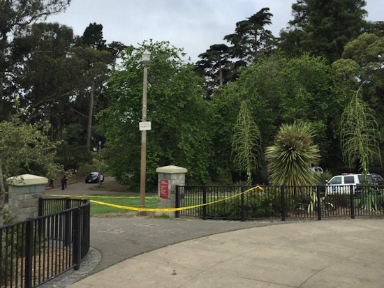The Upper Haight: A Month In Crime And Mayhem
