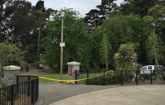 The Upper Haight: A Month In Crime And Mayhem