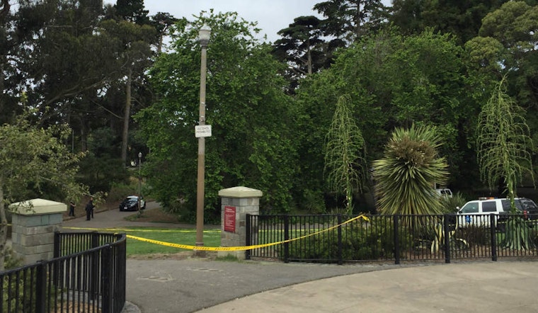 The Upper Haight: A Month In Crime And Mayhem
