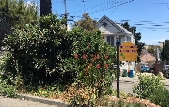 Bayview Residents Keep Quesada Gardens Initiative Going Strong