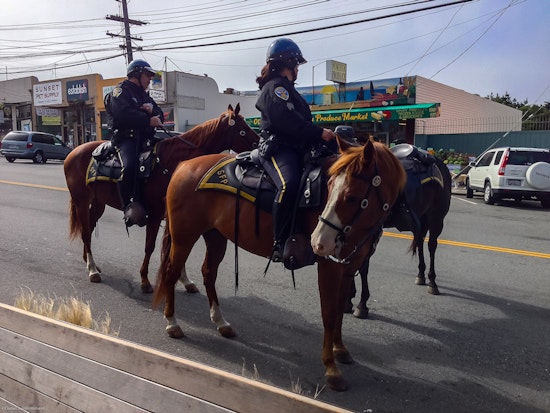 Outer Sunset Crime Roundup: Man Slapped While Parking, Defecator Arrested