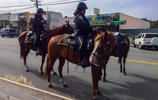 Outer Sunset Crime Roundup: Man Slapped While Parking, Defecator Arrested