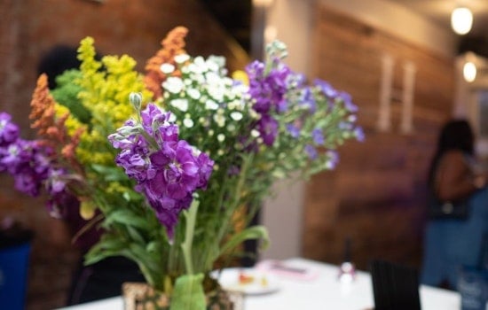 3 primo community and culture events in Washington this weekend