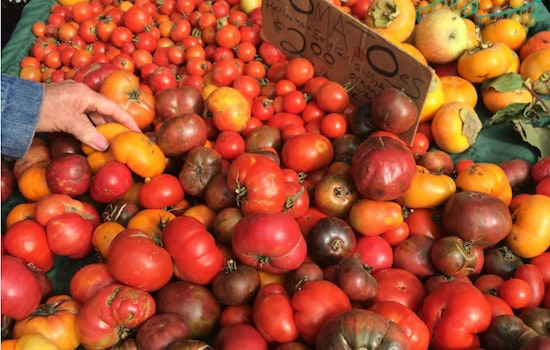 Does San Francisco Have Enough Farmers Markets?