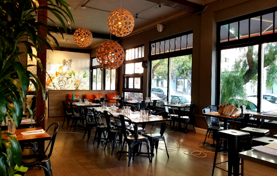 SF Eats: Hayes Valley gets new burger spot and pizzeria, Domino's returns to Tenderloin, more