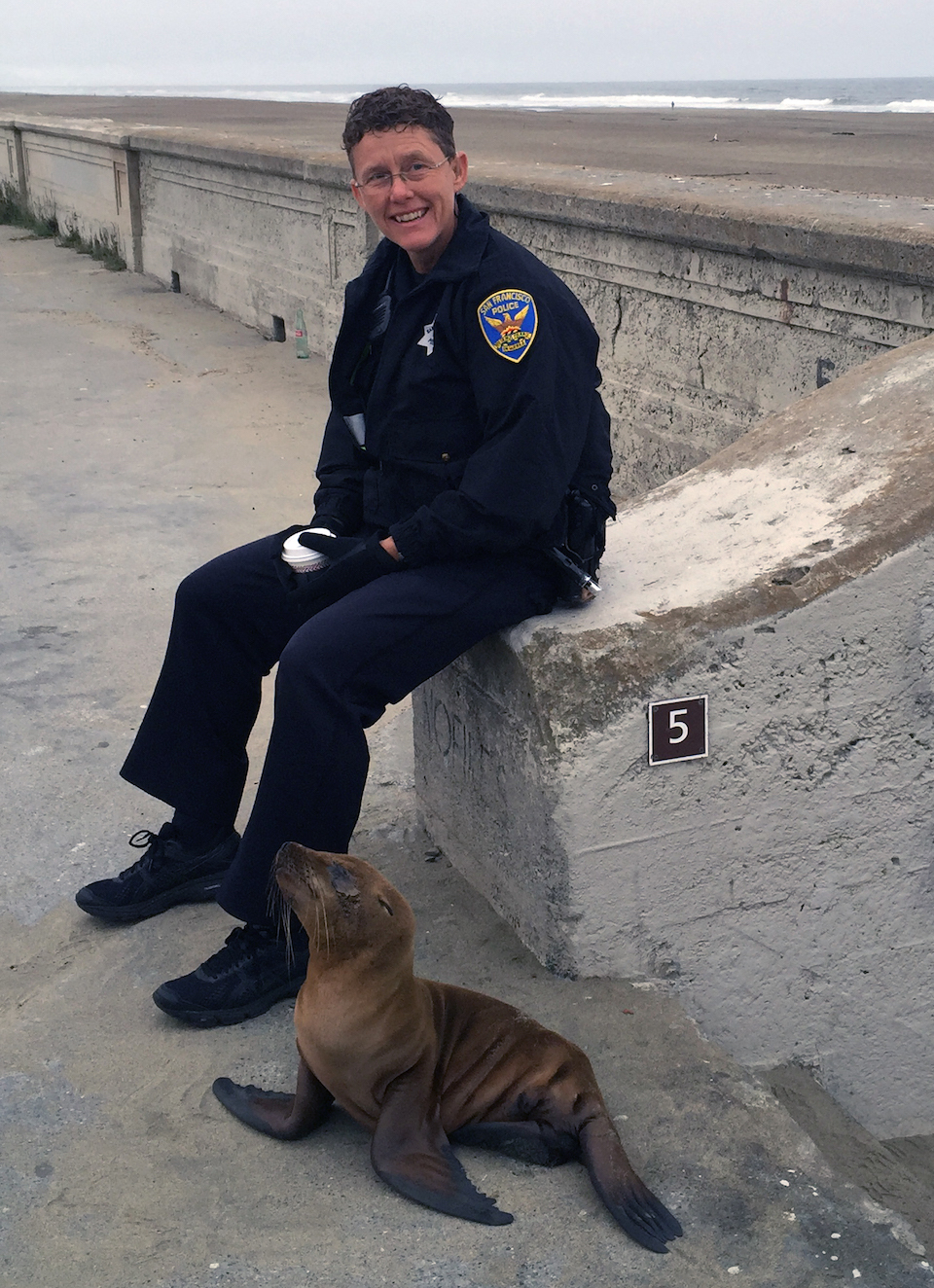 San Francisco Seals mascot was a real sea lion