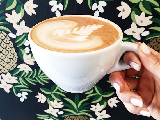 SoMa Week: Brunch Pregame, Civic Hacking, Queer-It-Yourself Expo & More