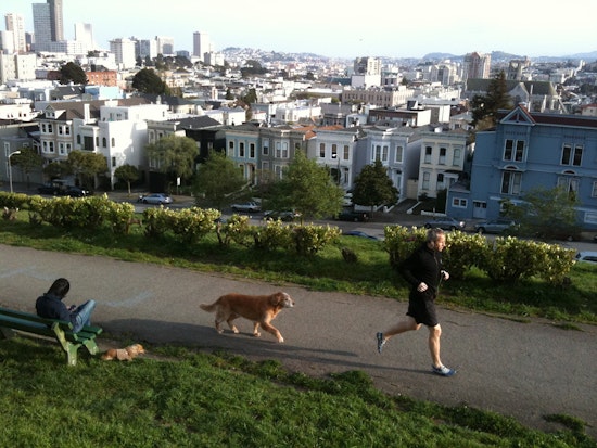 Event Spotlight: Pitch In To Clean Up And Beautify Alta Plaza Park