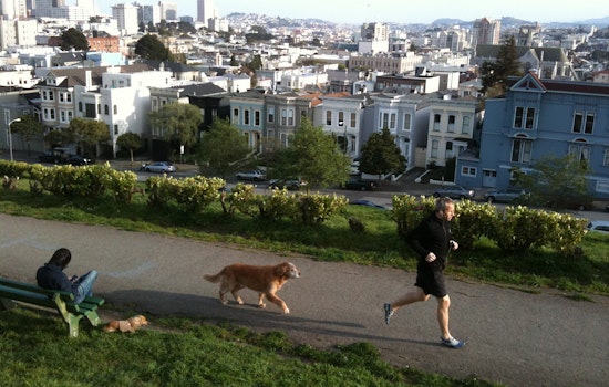 Event Spotlight: Pitch In To Clean Up And Beautify Alta Plaza Park