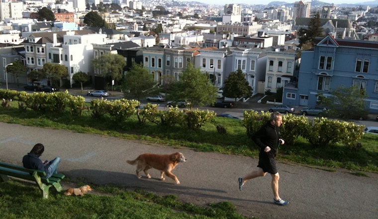Event Spotlight: Pitch In To Clean Up And Beautify Alta Plaza Park