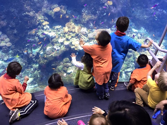 Location, Philosophy And Wait Lists: A Look At 5 Inner Sunset Preschools