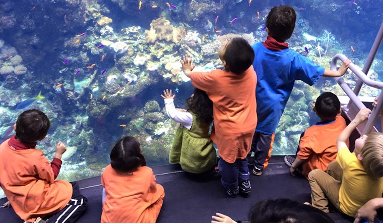 Location, Philosophy And Wait Lists: A Look At 5 Inner Sunset Preschools