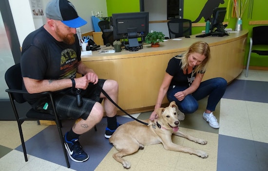 Pitch In To Help Pets At SPCA's Pacific Heights Campus