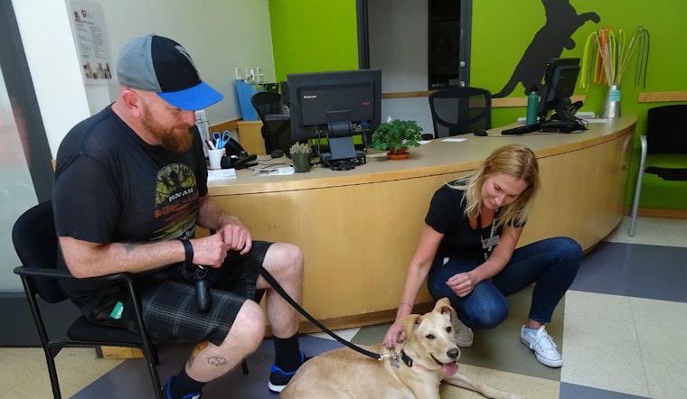 Pitch In To Help Pets At SPCA's Pacific Heights Campus