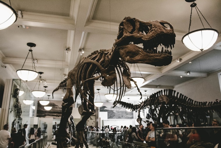 The 4 best family and learning events in Chicago this week