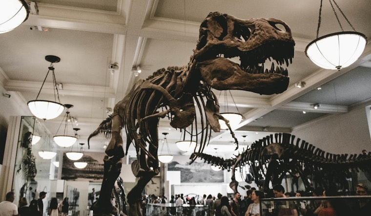 The 4 best family and learning events in Chicago this week