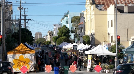 Thieves Punch 71-Year-Old, Steal His Puppy At Divisadero Farmers Market [Updated]
