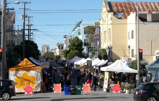 Thieves Punch 71-Year-Old, Steal His Puppy At Divisadero Farmers Market [Updated]