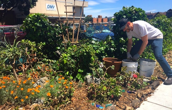 San Francisco's Hottest New Garden Is Right In Front Of The DMV