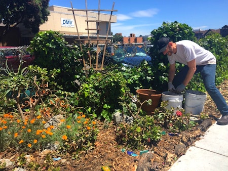 San Francisco's Hottest New Garden Is Right In Front Of The DMV