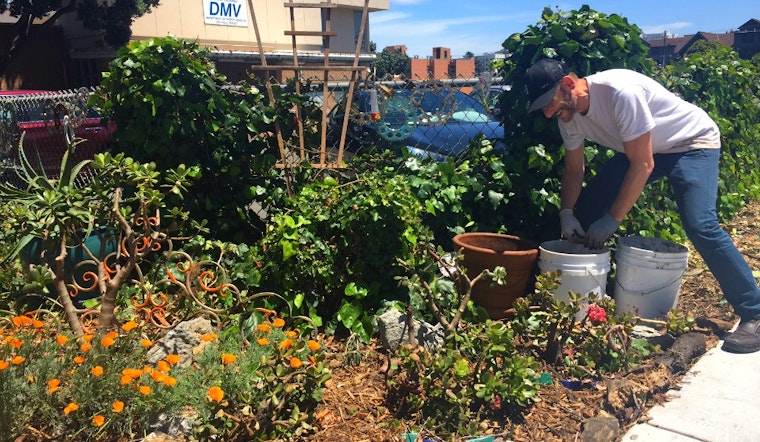 San Francisco's Hottest New Garden Is Right In Front Of The DMV