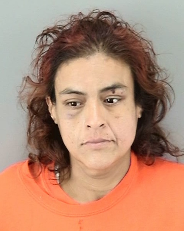2 Weeks After Stealing Ambulance, Woman Arrested Again For Burglary In Bayview
