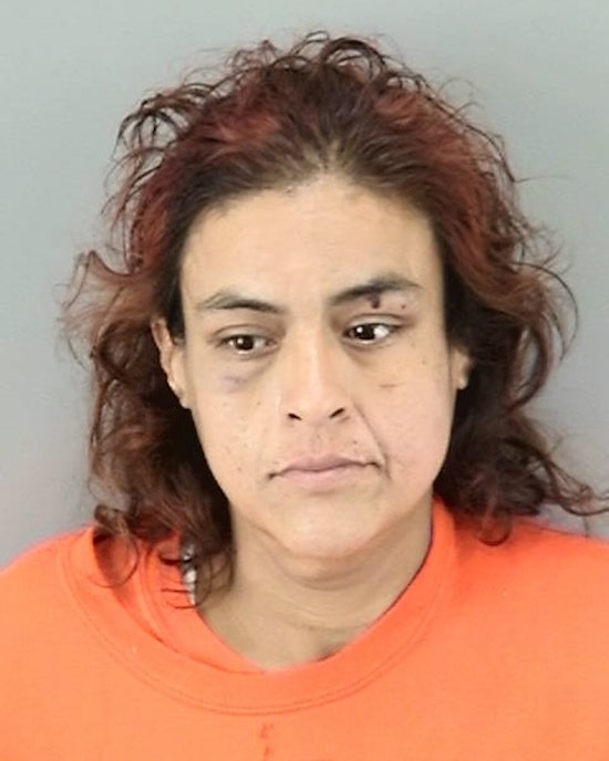 2 Weeks After Stealing Ambulance, Woman Arrested Again For Burglary In Bayview