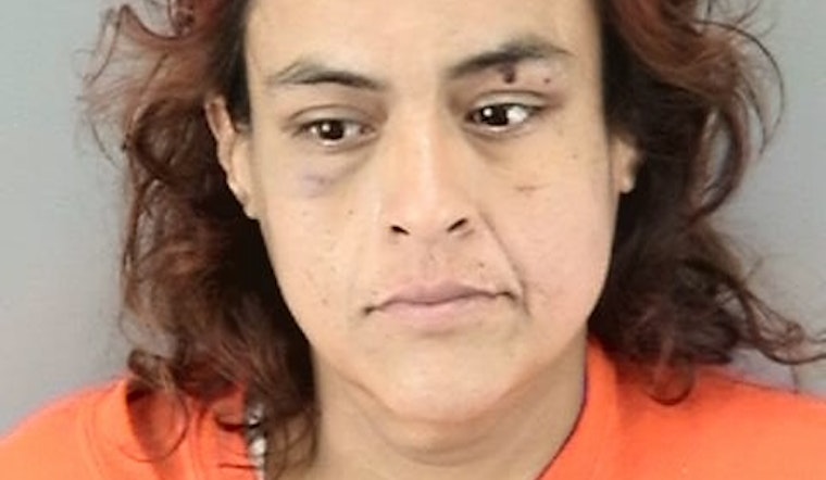 2 Weeks After Stealing Ambulance, Woman Arrested Again For Burglary In Bayview
