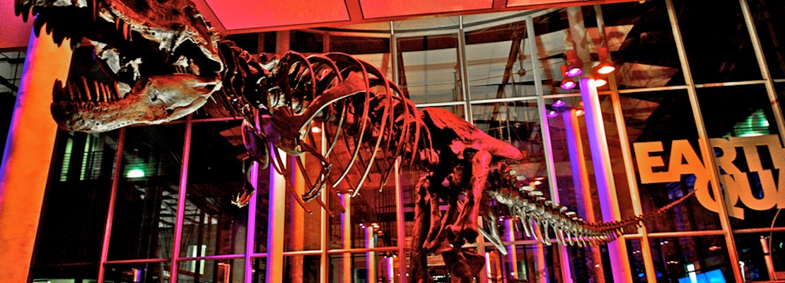 Inner Sunset Week: Pride, Art Openings, Earthquake Preparedness, More