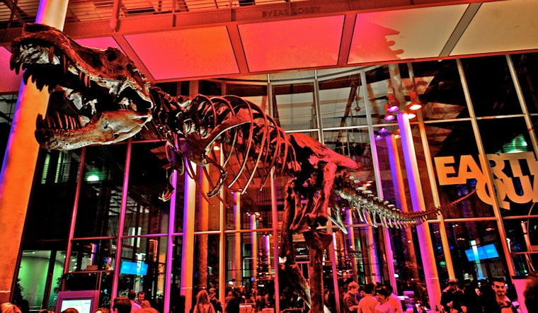 Inner Sunset Week: Pride, Art Openings, Earthquake Preparedness, More