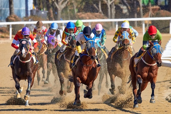 Sports and fitness events worth seeking out in Phoenix this weekend