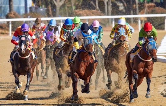 Sports and fitness events worth seeking out in Phoenix this weekend