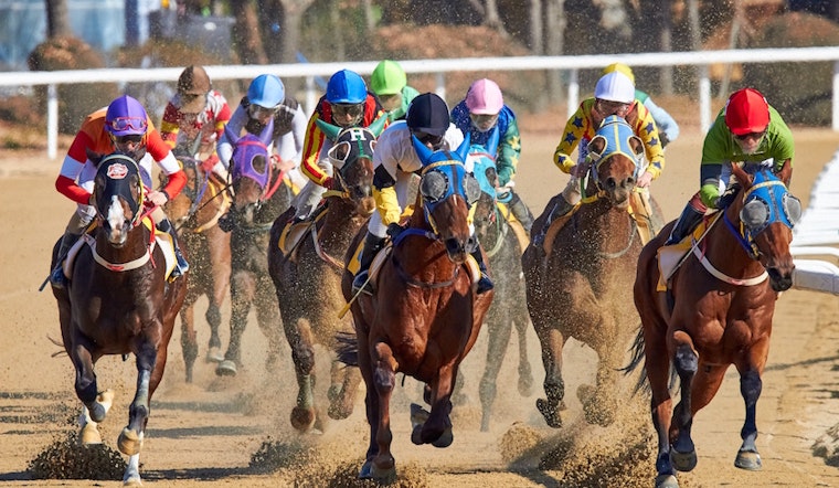 Sports and fitness events worth seeking out in Phoenix this weekend
